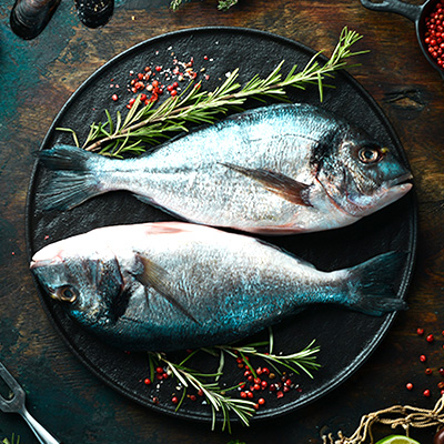 Sala de almacenamiento en frío de pescado y marisco